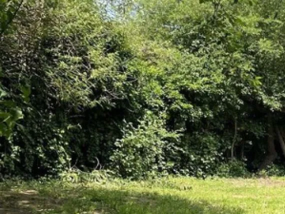 Terrain à bâtir de 1500 m² à IGE (71)