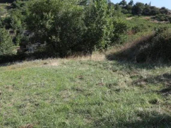Terrain à bâtir de 474 m² à BAGE-LA-VILLE (01)
