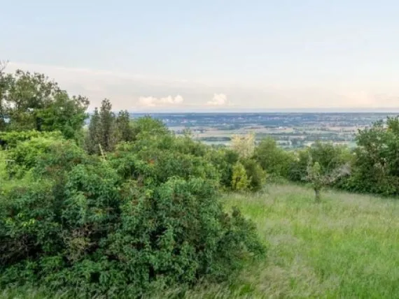 Terrain à bâtir de 1400 m² à FEILLENS (01)
