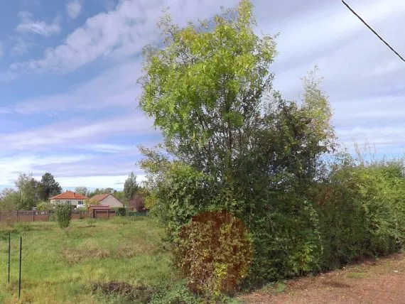 Terrain à bâtir de 952 m² à VENDAT (03)