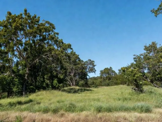 Terrain à bâtir de 725 m² à SAINT-DIDIER-SUR-CHALARONNE (01)