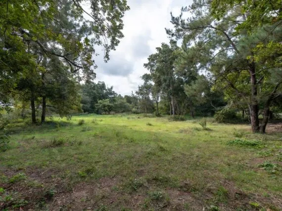 Terrain à bâtir de 659 m² à FEILLENS (01)