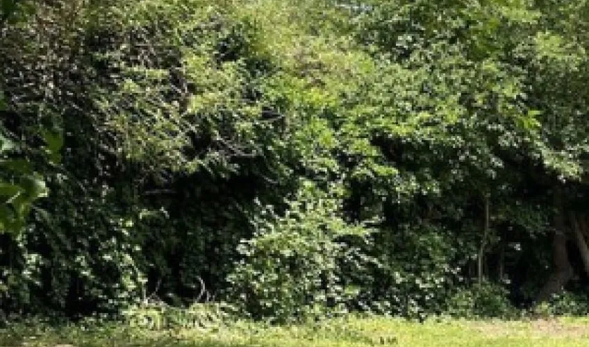 Projet de construction d'une maison 91 m² avec terrain à IGE (71)