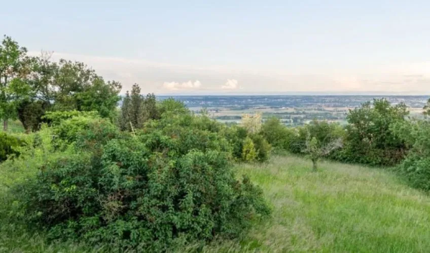 Projet de construction d'une maison 60 m² avec terrain à FEILLENS (01)