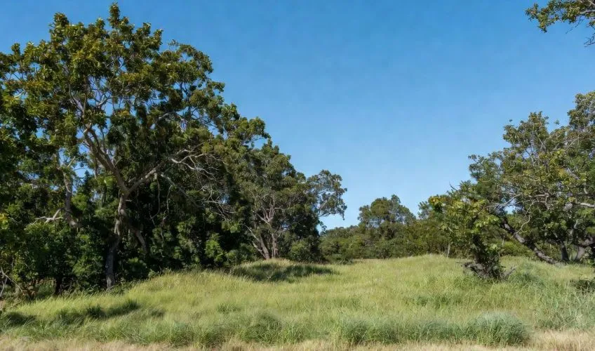 Projet de construction d'une maison 100 m² avec terrain à SAINT-DIDIER-SUR-CHALARONNE (01)
