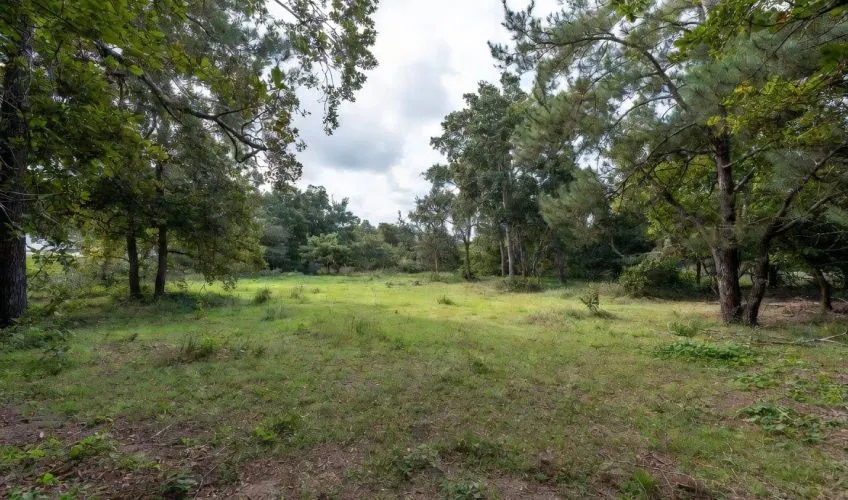 Projet de construction d'une maison 98 m² avec terrain à FEILLENS (01)